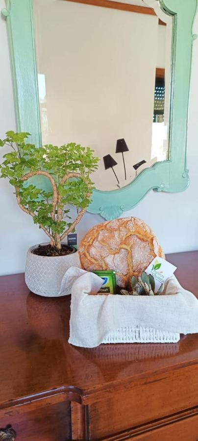 Big Fish 1 - Charming Beach Apartment Praia de Mira Buitenkant foto