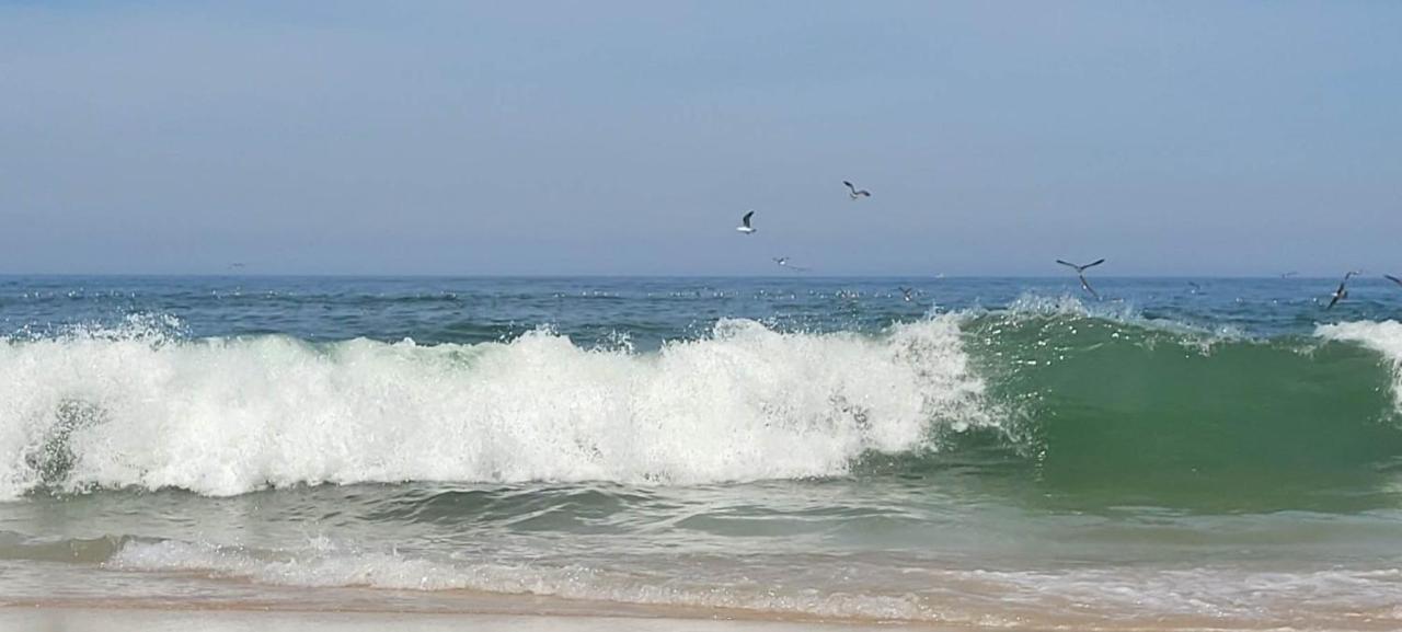 Big Fish 1 - Charming Beach Apartment Praia de Mira Buitenkant foto